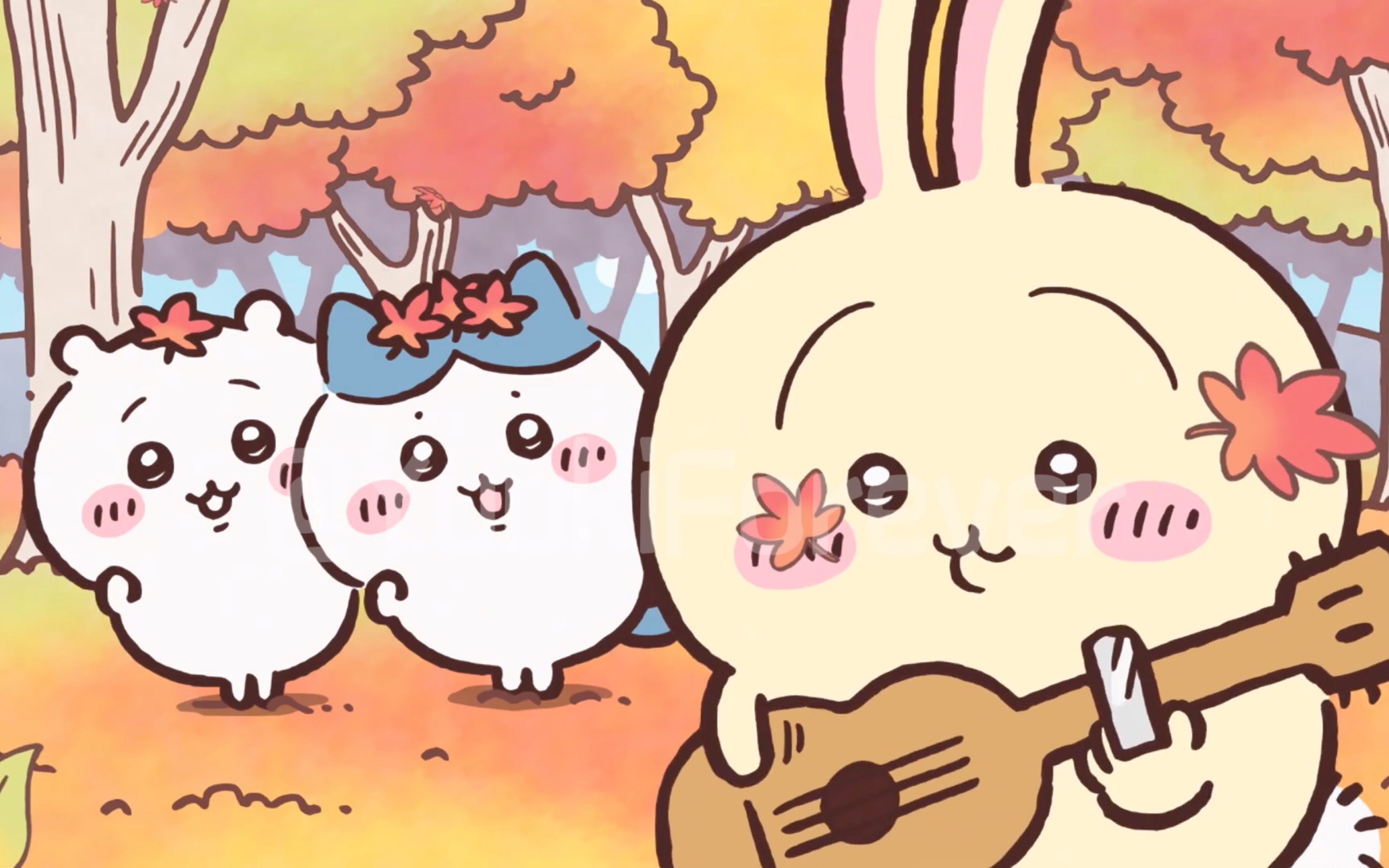 boxmoe_header_banner_img