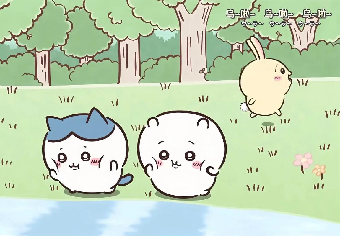 boxmoe_header_banner_img