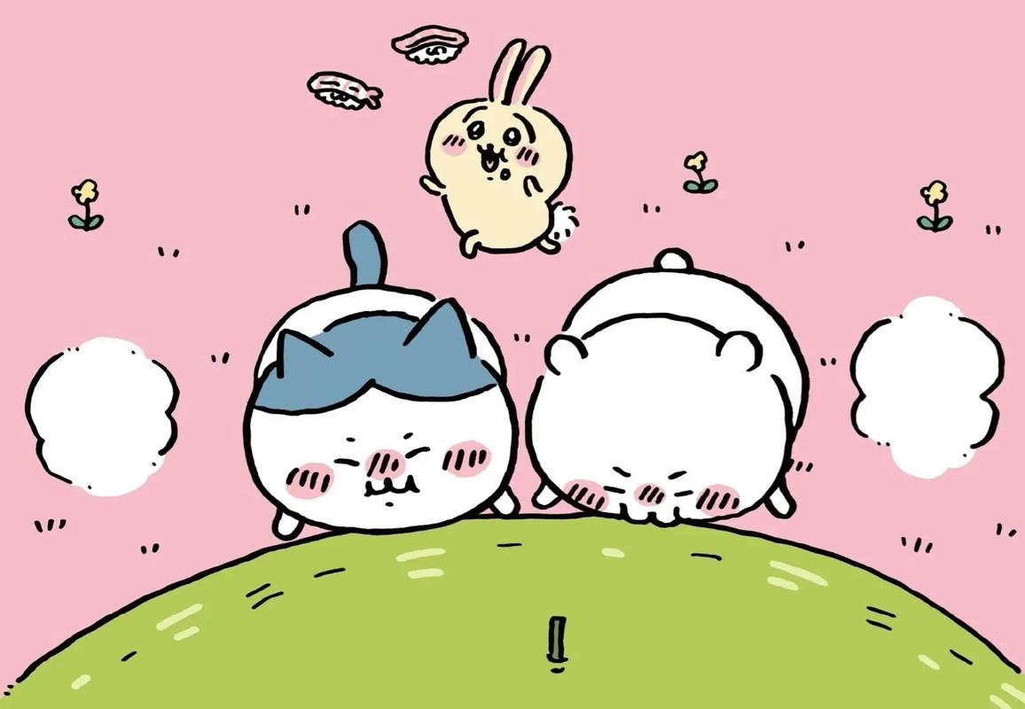 boxmoe_header_banner_img