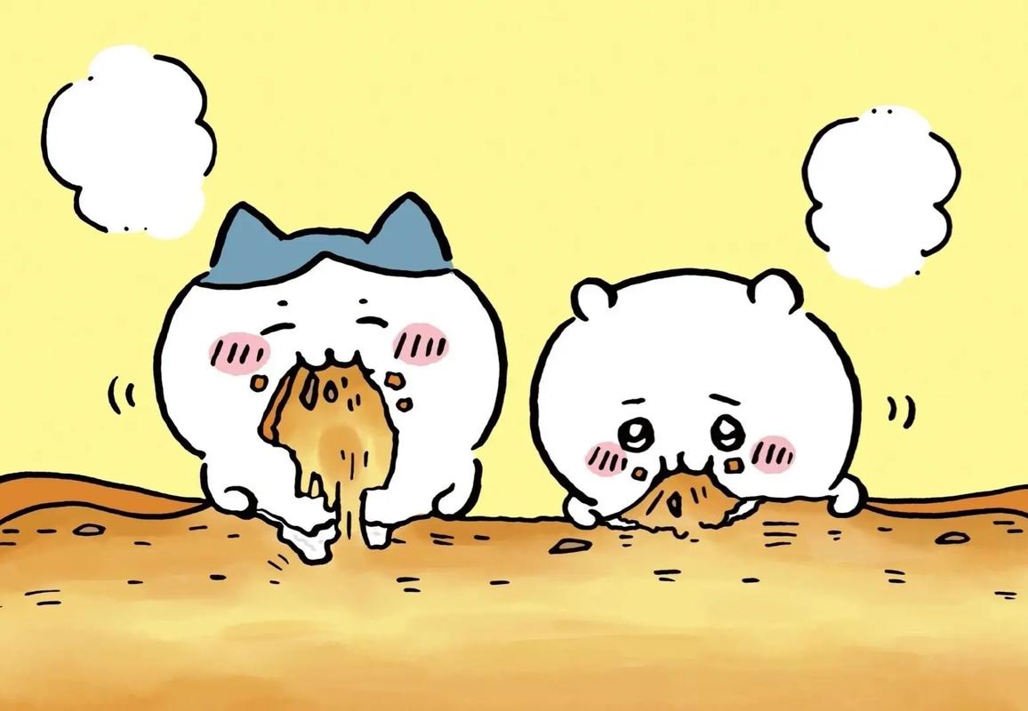 boxmoe_header_banner_img