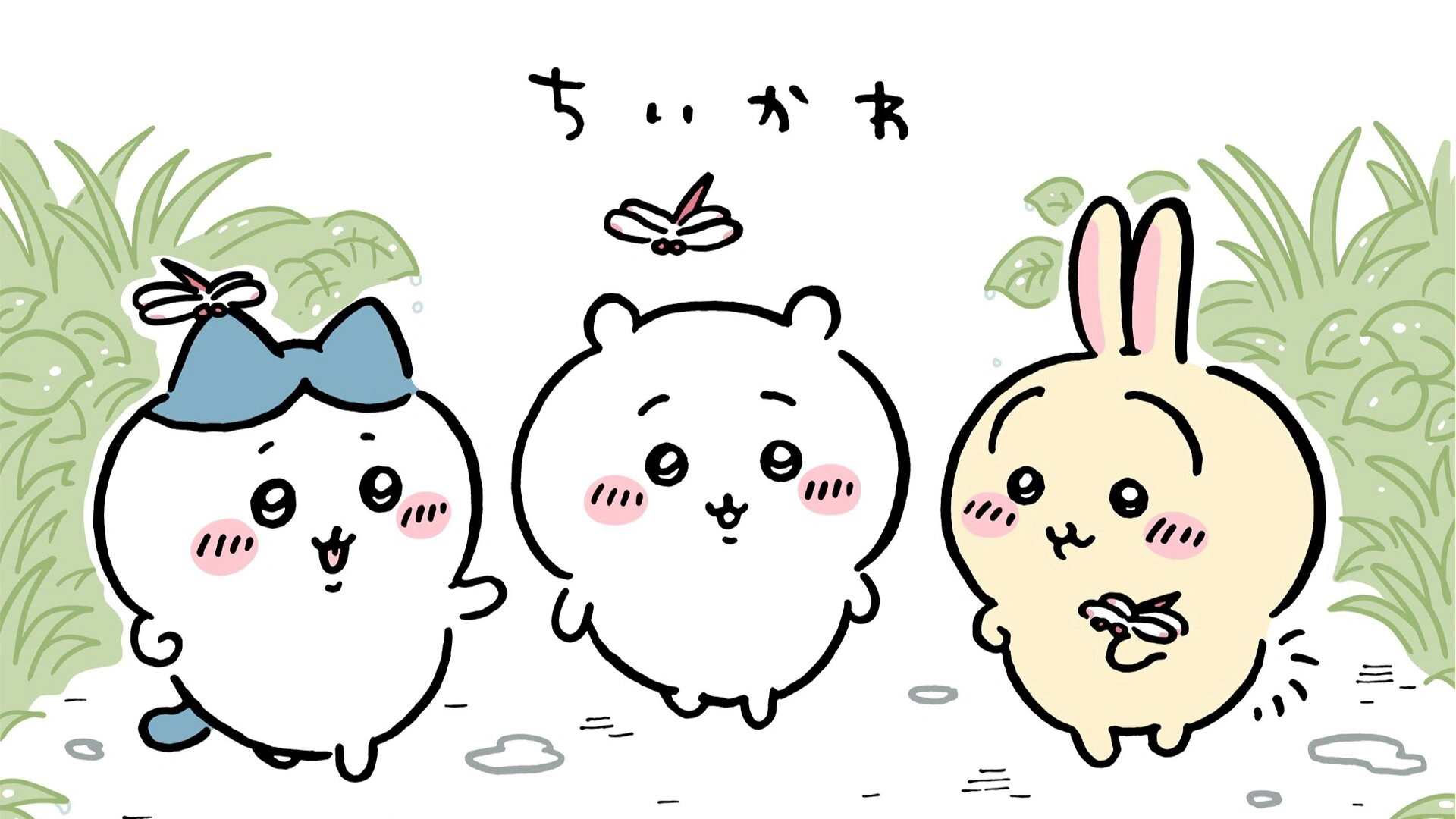 boxmoe_header_banner_img