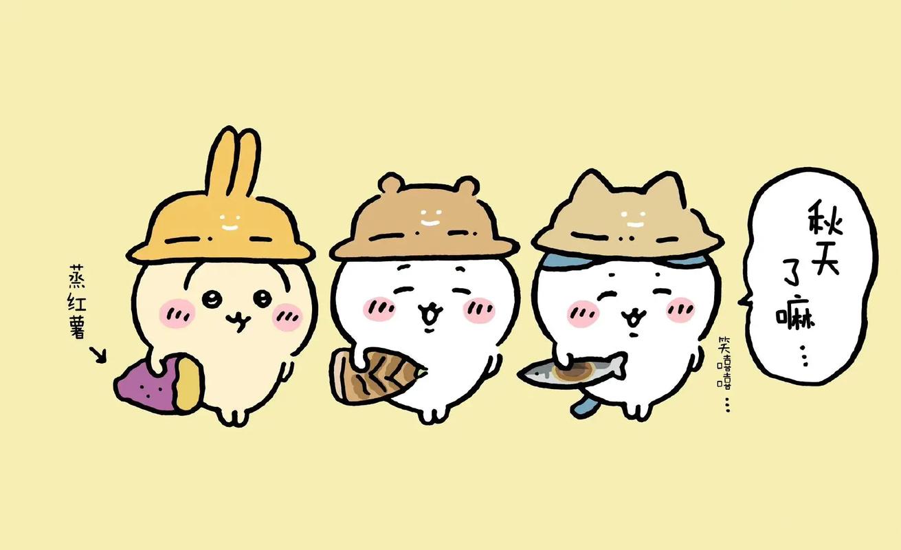 boxmoe_header_banner_img