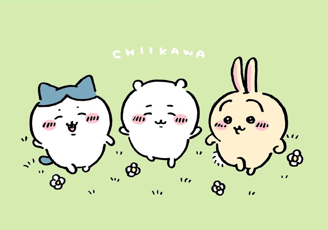 boxmoe_header_banner_img