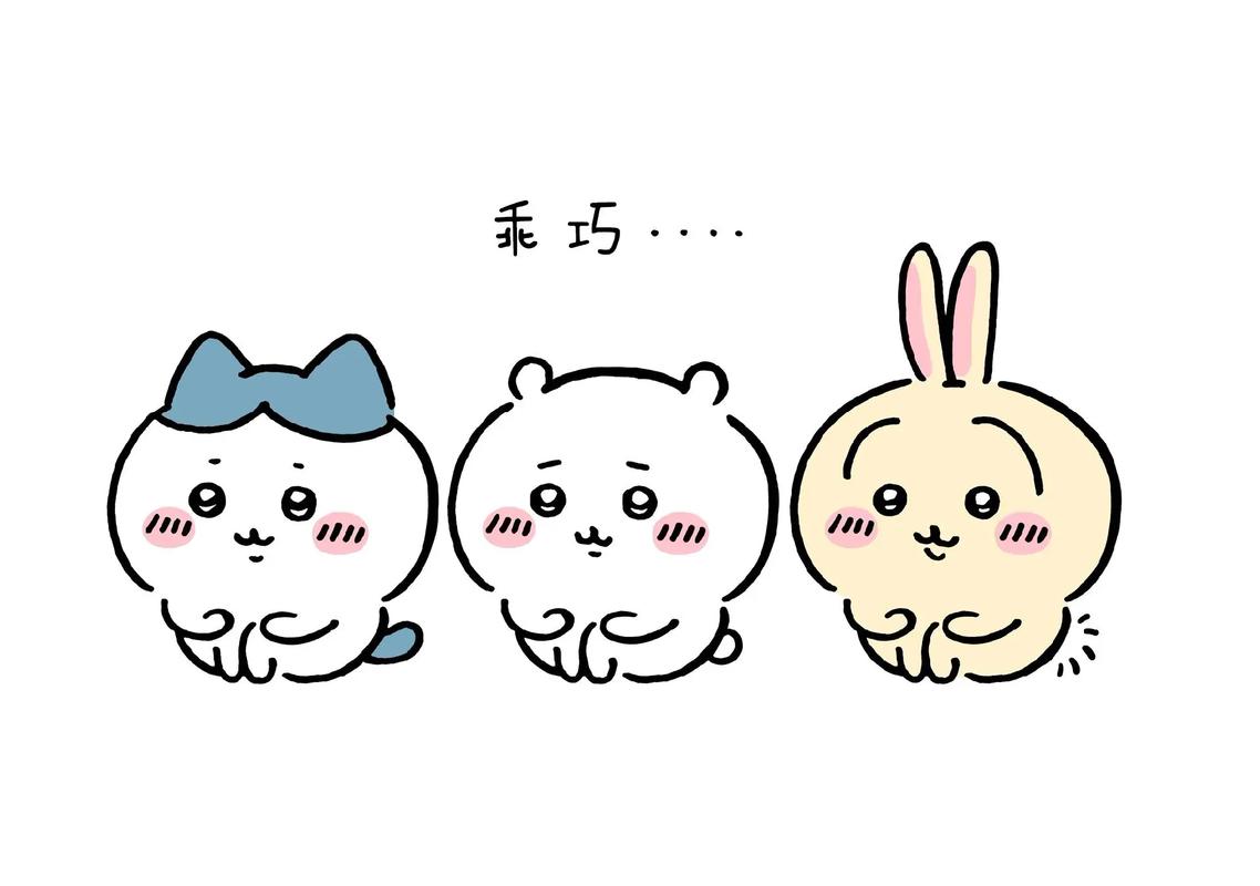 boxmoe_header_banner_img