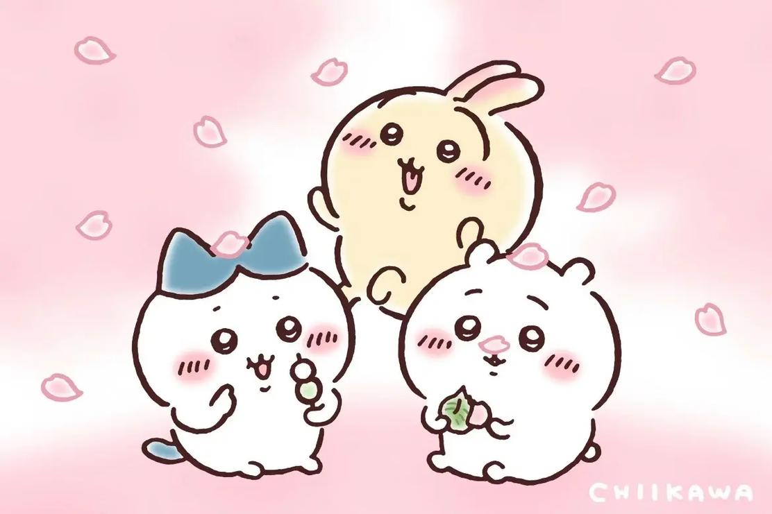 boxmoe_header_banner_img