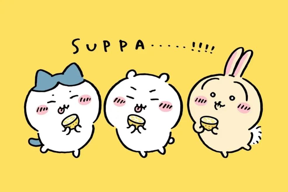 boxmoe_header_banner_img