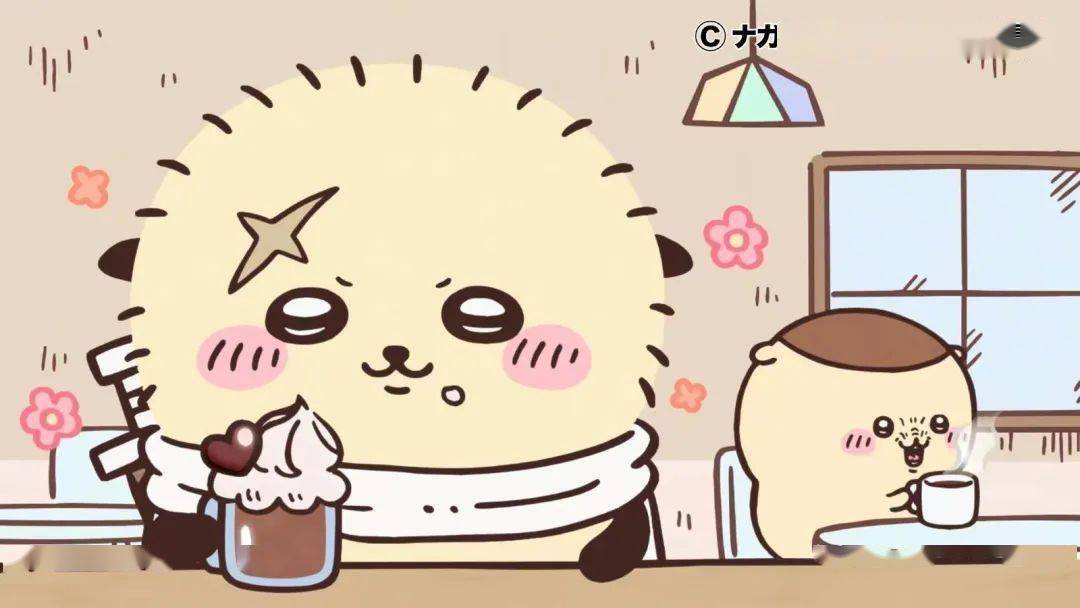 boxmoe_header_banner_img