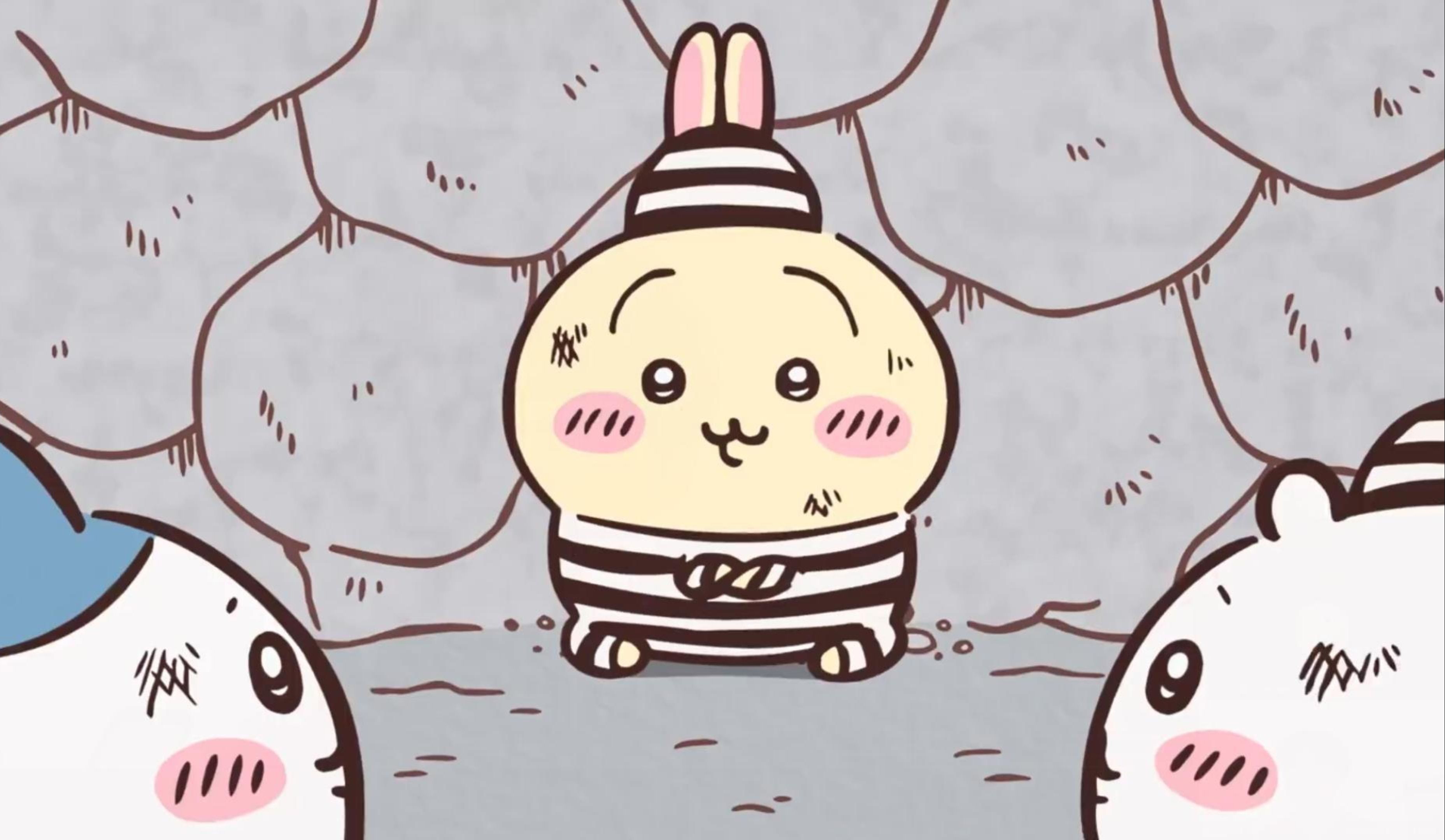 boxmoe_header_banner_img